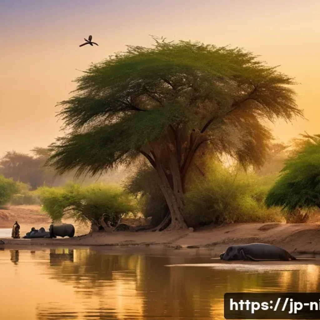니제르 강 유람선 투어 - A serene Niger River scene during the dry season at sunrise, featuring exposed sandy riverbanks and ...