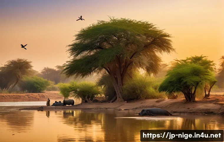 니제르 강 유람선 투어 - A serene Niger River scene during the dry season at sunrise, featuring exposed sandy riverbanks and ...