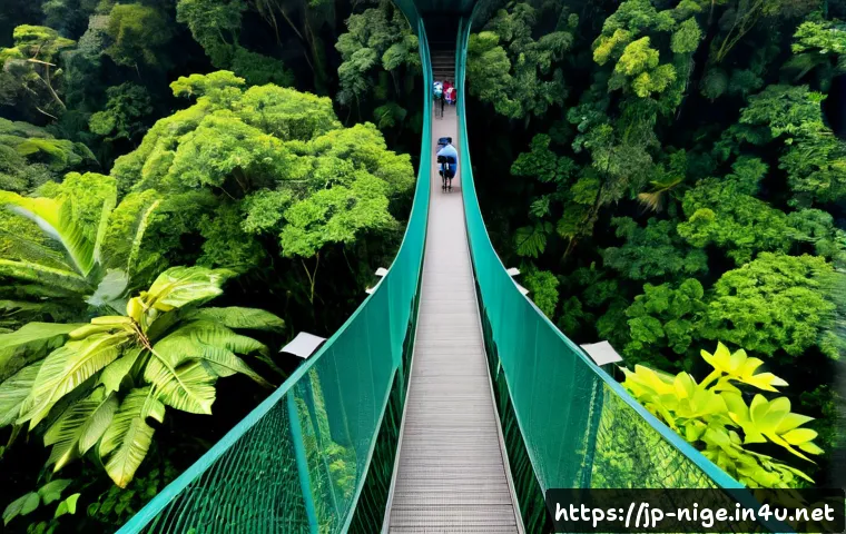 라고스 유명 관광지 - Photorealistic view of the Lekki Conservation Centre canopy walkway in Lagos, Nigeria, stretching ab...
